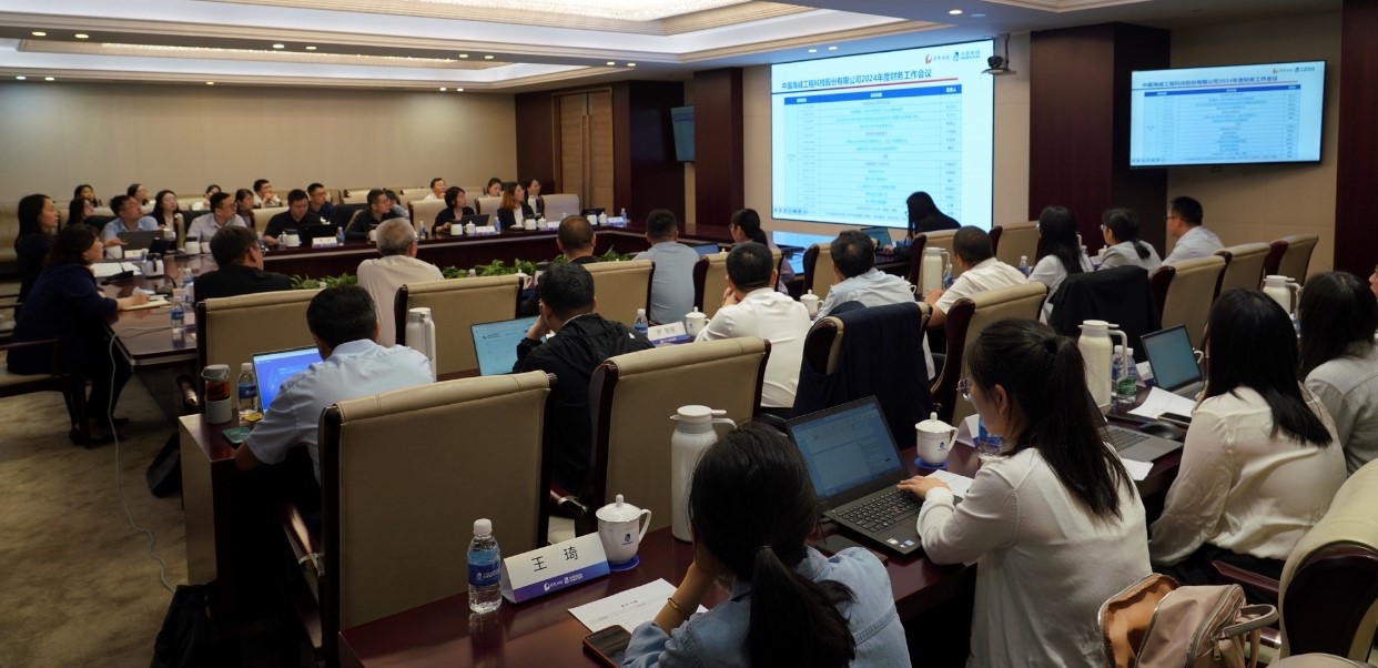 China Haisum Holds the 2024 Financial Work Conference